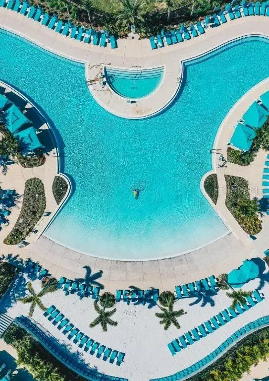 Resort style pool with lagoon design in Margaritaville Resort Orlando Kissimmee