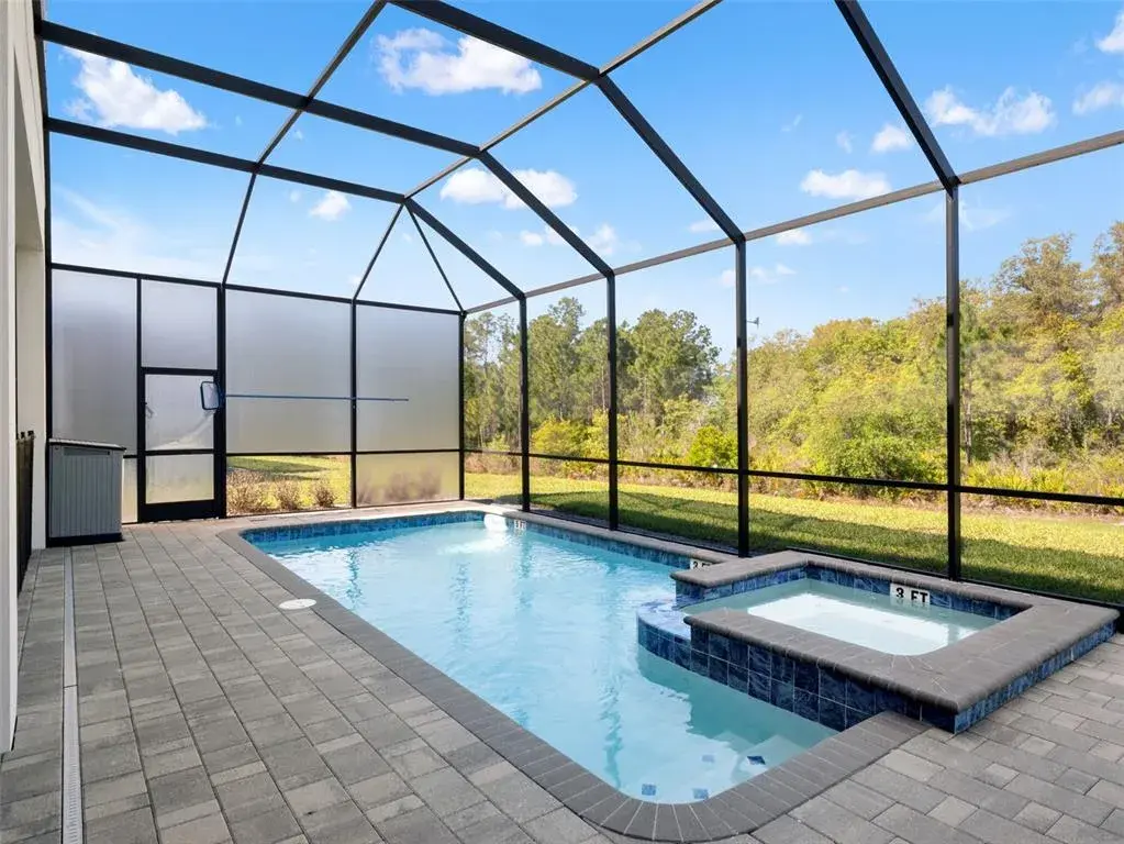 Luxurious pool with spa
