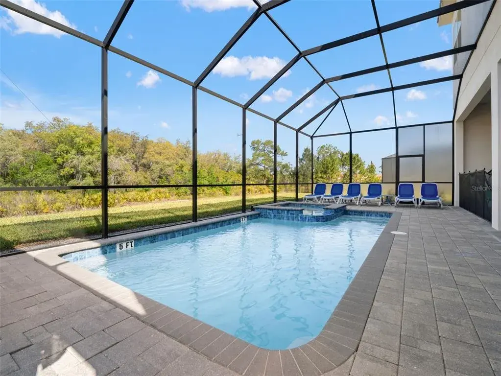 Luxurious pool with spa
