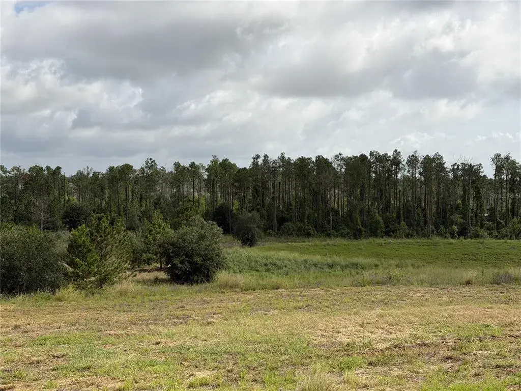 Property for sale at 15429 APENNINE WAY, MONTVERDE, FL, 34756