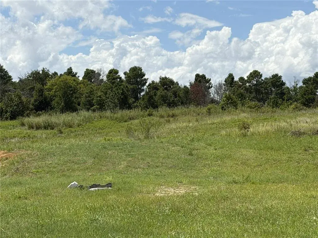 Property for sale at 16813 BOLSENA DRIVE, BELLA COLLINA, FL, 34756