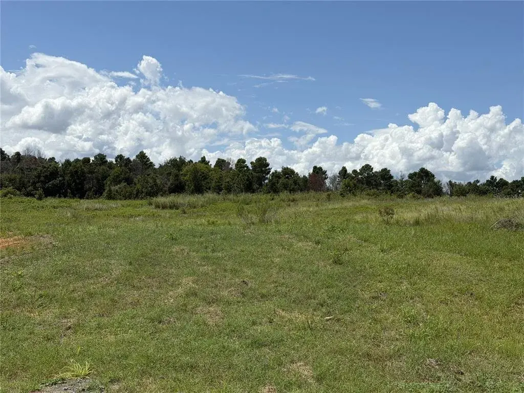 Property for sale at 16813 BOLSENA DRIVE, BELLA COLLINA, FL, 34756