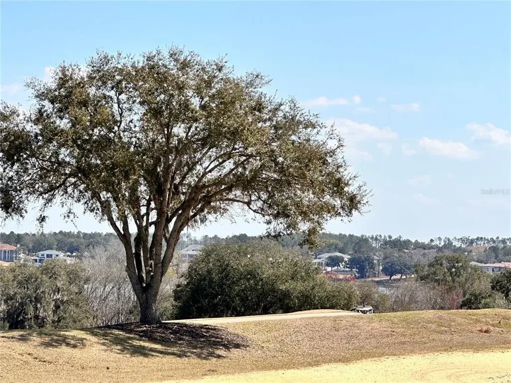 Property for sale at 16822 ARTIMINO LOOP, MONTVERDE, FL, 34756
