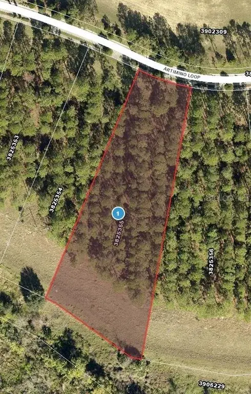 Property for sale at 16822 ARTIMINO LOOP, MONTVERDE, FL, 34756