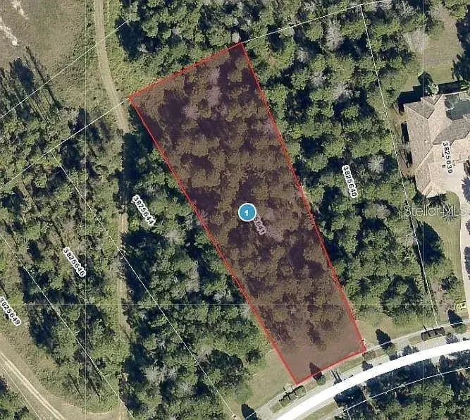 Property for sale at 16036 PENDIO DRIVE, BELLA COLLINA, FL, 34756