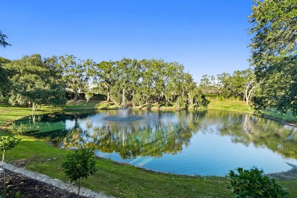 Property for sale at 9725 CHESTNUT RIDGE DRIVE, WINDERMERE, FL, 34786