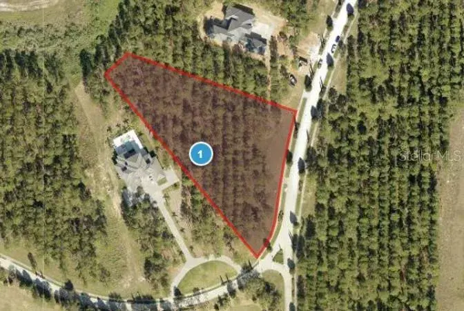 16216 Pendio Drive, Bella Collina, FL, 34756