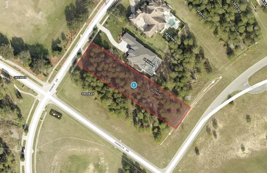 15000 Pendio Drive, Bella Collina, FL, 34756