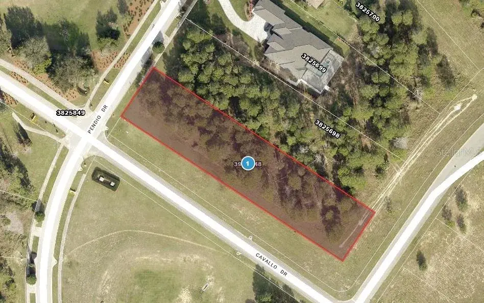 14996 Pendio Drive, Montverde, FL, 34756