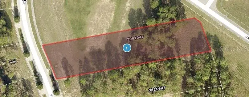 16404 Pendio Drive, Montverde, FL, 34756