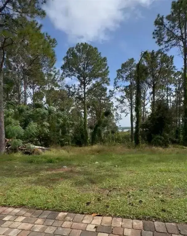 16139 Pendio Drive, Bella Collina, FL, 34756