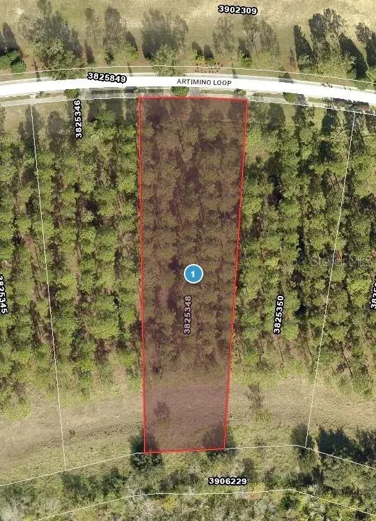 16748 Artimino Loop, Bella Collina, FL, 34756