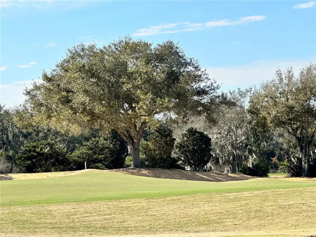 16339 Ravenna Court, Bella Collina, FL, 34756