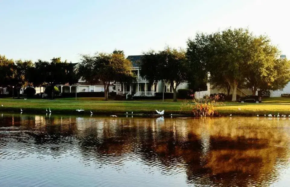 Property for sale at 934 WESTPARK DRIVE, CELEBRATION, FL, 34747