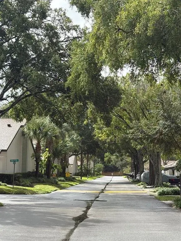 Tree lined streets