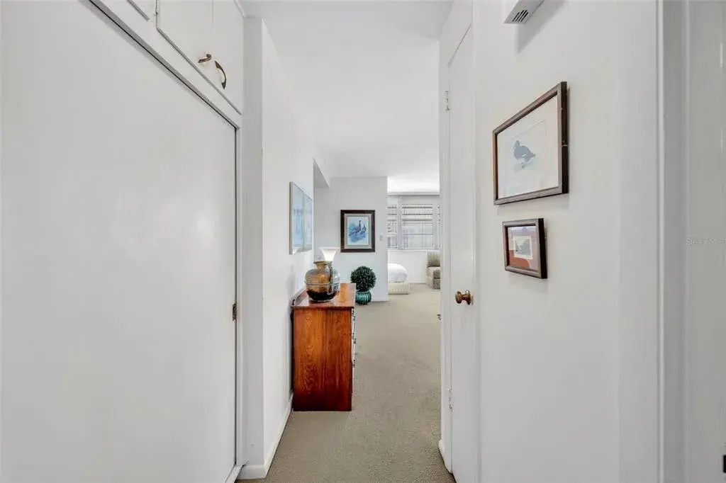 Foyer with storage closet
