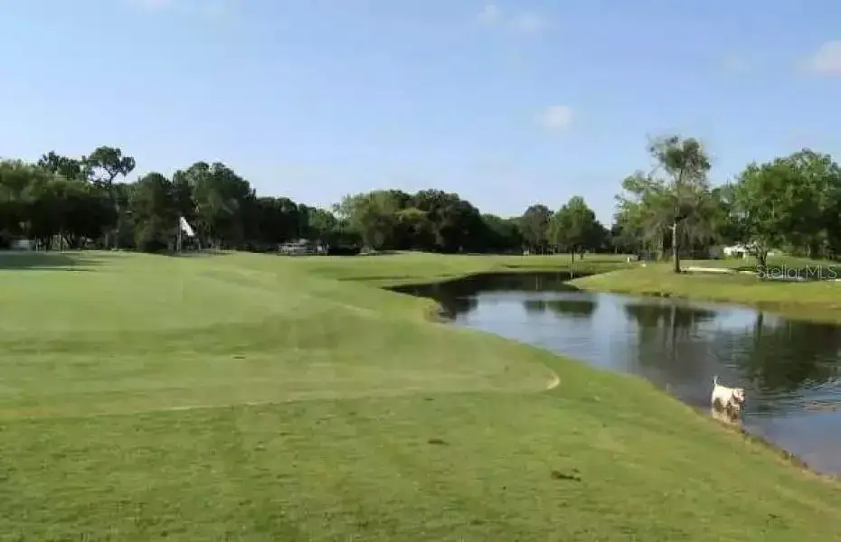 Property for sale at 3601 MIDIRON DRIVE, WINTER PARK, FL, 32789