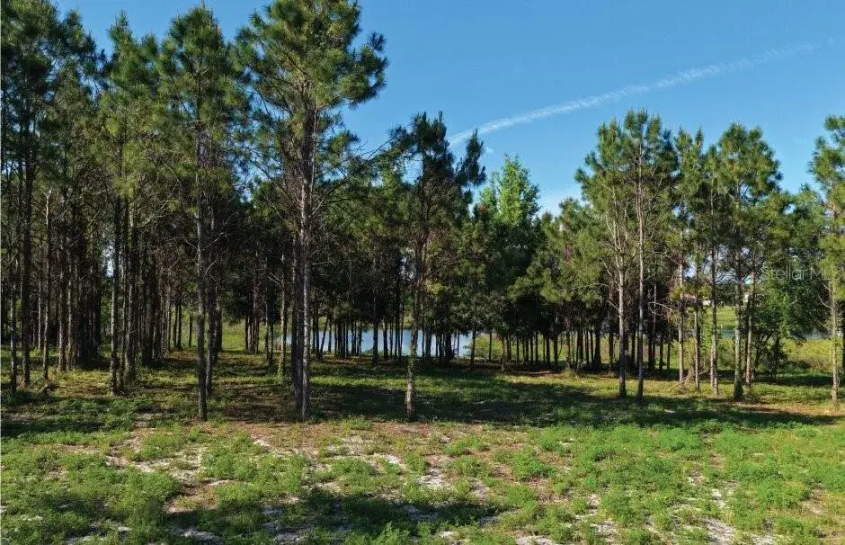 Property for sale at 9717 MORTON JONES ROAD, GOTHA, FL, 34734