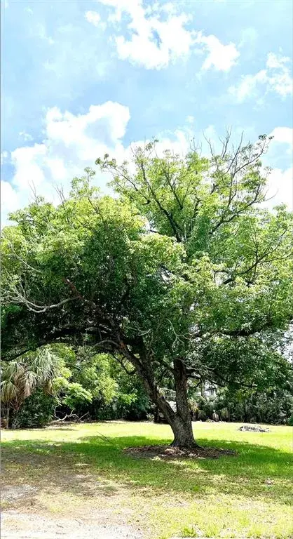 W Vining Street, Winter Garden, FL, 34787