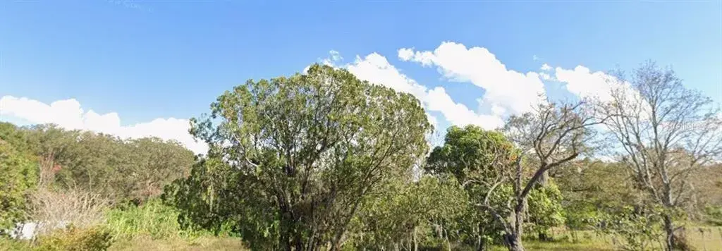 1342 Avalon Road, Winter Garden, FL, 34787