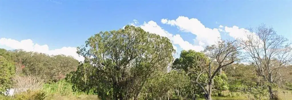 1362 Avalon Road, Winter Garden, FL, 34787