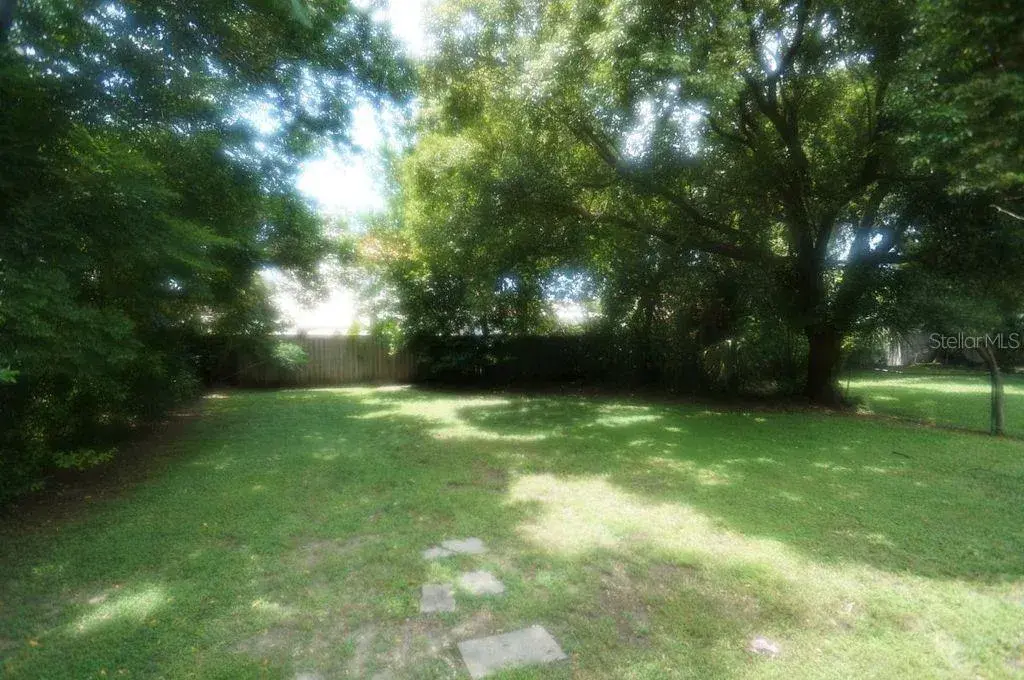 Back Yard
