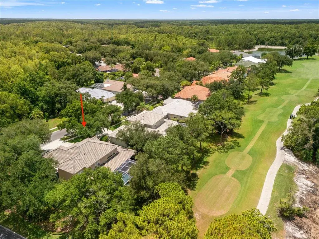 Property for sale at 17422 HEATHER OAKS PLACE, TAMPA, FL, 33647