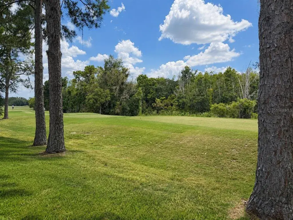 Property for sale at 17422 HEATHER OAKS PLACE, TAMPA, FL, 33647