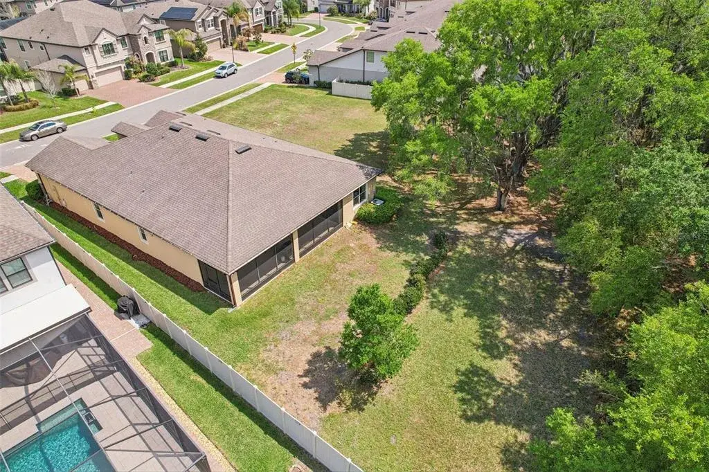 Premium Conservation Lot!!