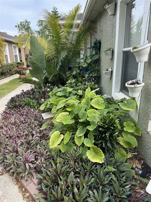 Property for sale at 19113 DOVES LANDING DRIVE, TAMPA, FL, 33647