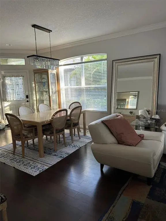 Property for sale at 19113 DOVES LANDING DRIVE, TAMPA, FL, 33647