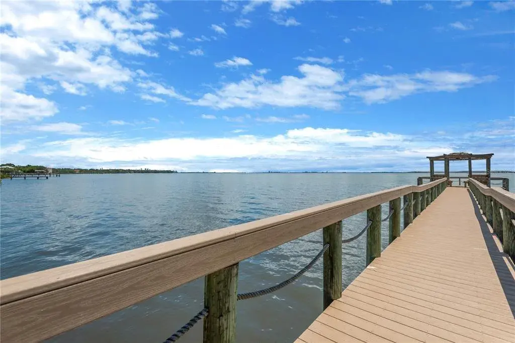 Just Steps Away from Tampa Bay