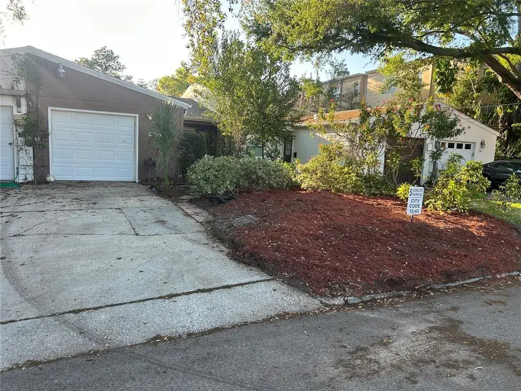 back yard