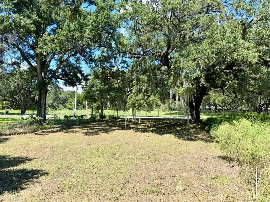Looking from the Back of Property to the Front