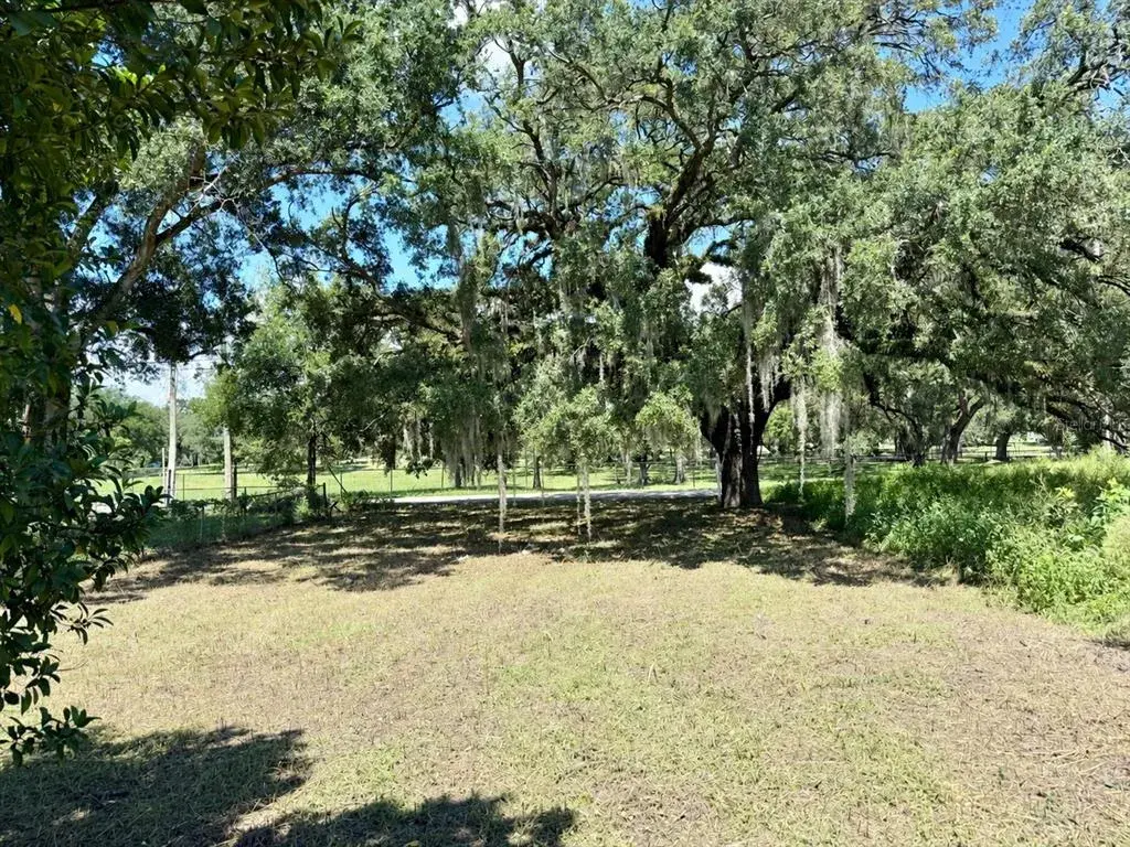 Looking from the Back of Property to the Front