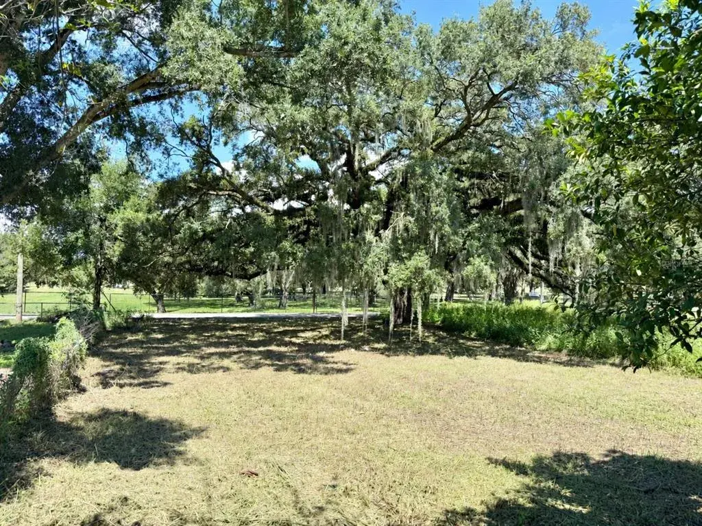 Looking from the Back of Property to the Front