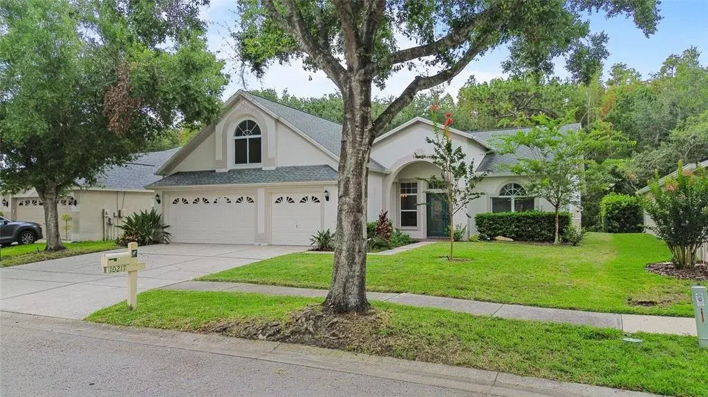 Property for sale at 10217 TIMBERLAND POINT DRIVE, TAMPA, FL, 33647
