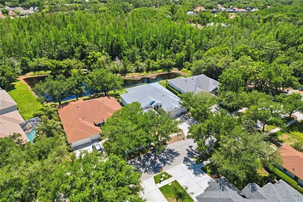 Property for sale at 10206 SHADOW BRANCH DRIVE, TAMPA, FL, 33647
