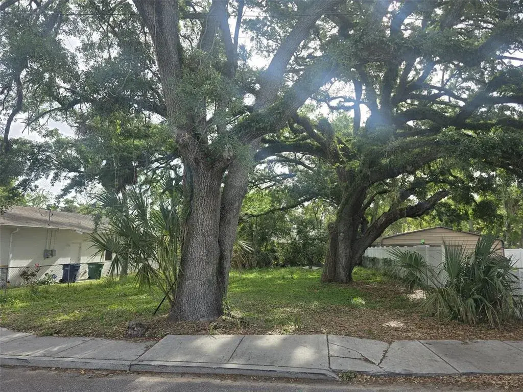 Image of the lot from the front