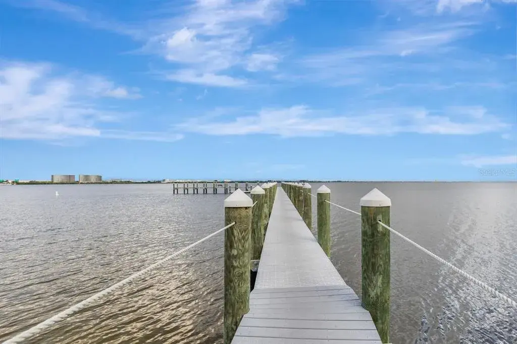 Private Community Pier with kayak launch perfect for fishing or taking in the beautiful views of Old Tampa Bay, dolphin and manatee sightings, or even watch a rocket launch.