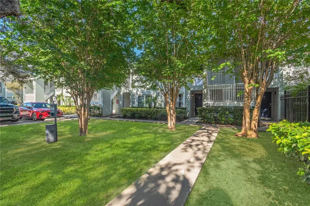 Curb View