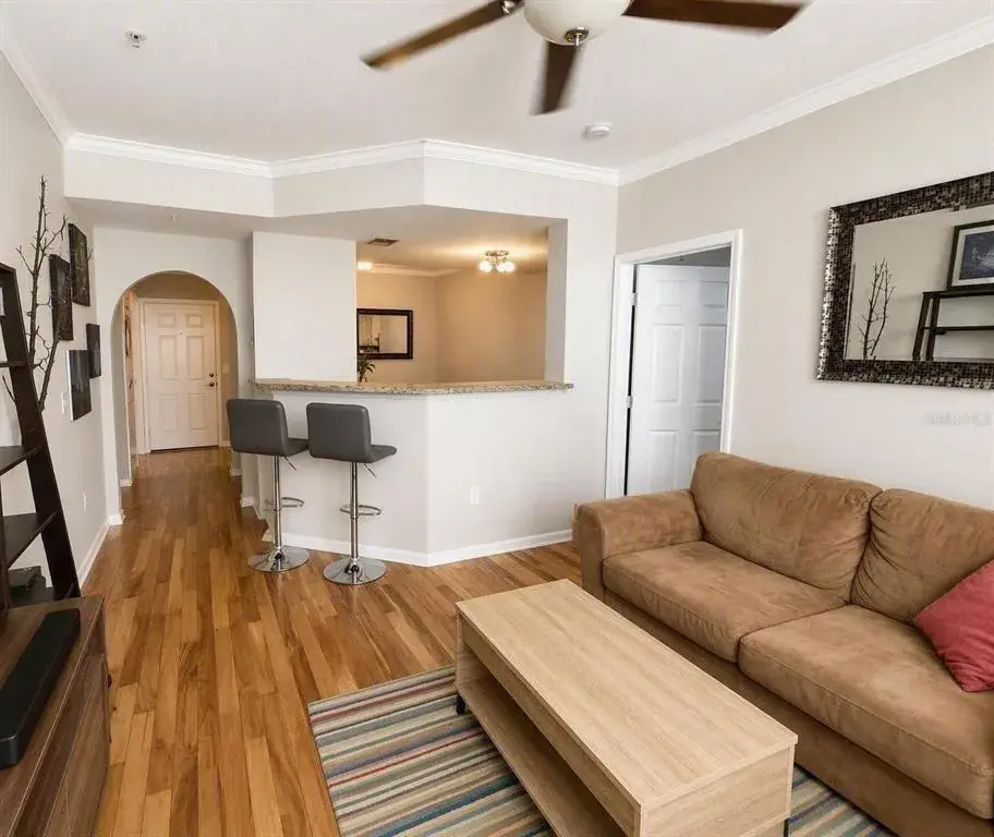 Living Room And Entrance