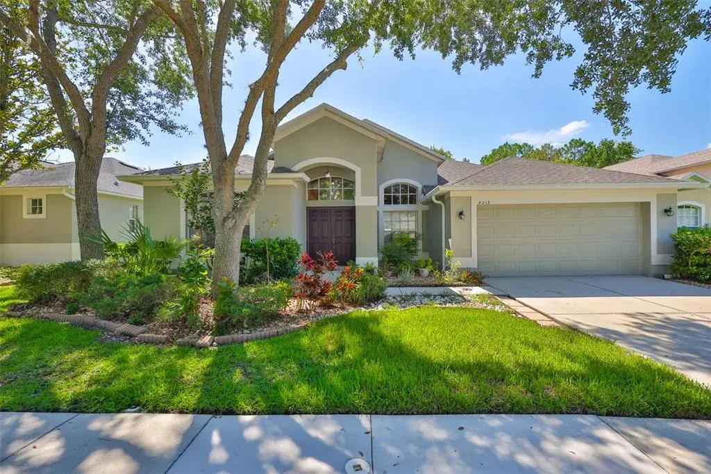 8213 Swann Hollow Drive, Tampa, FL, 33647