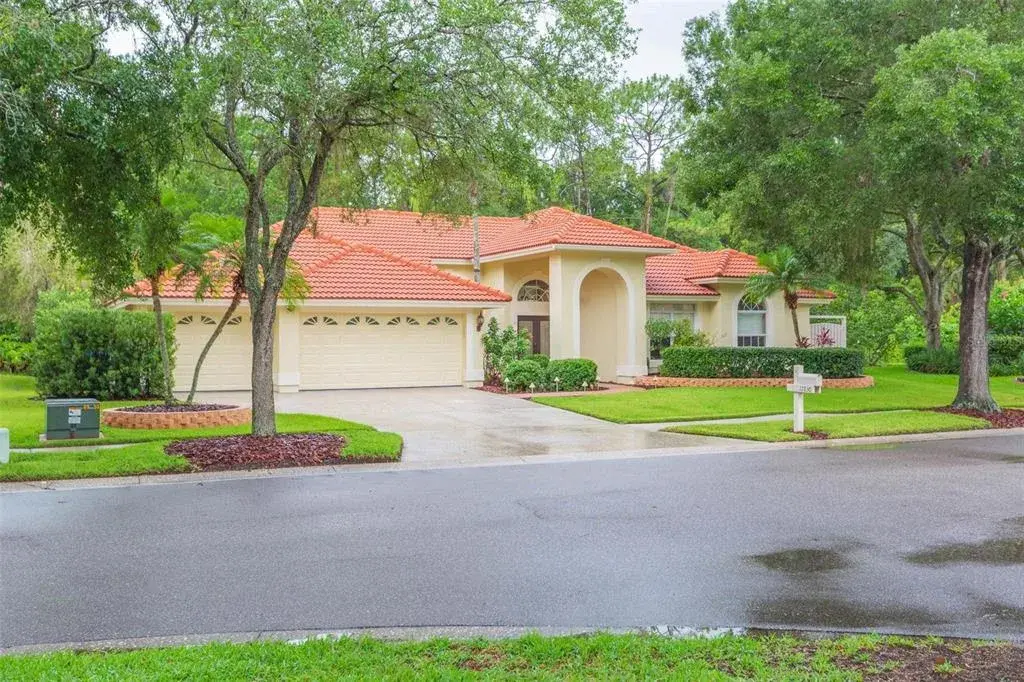 17830 Grey Brooke Drive, Tampa, FL, 33647