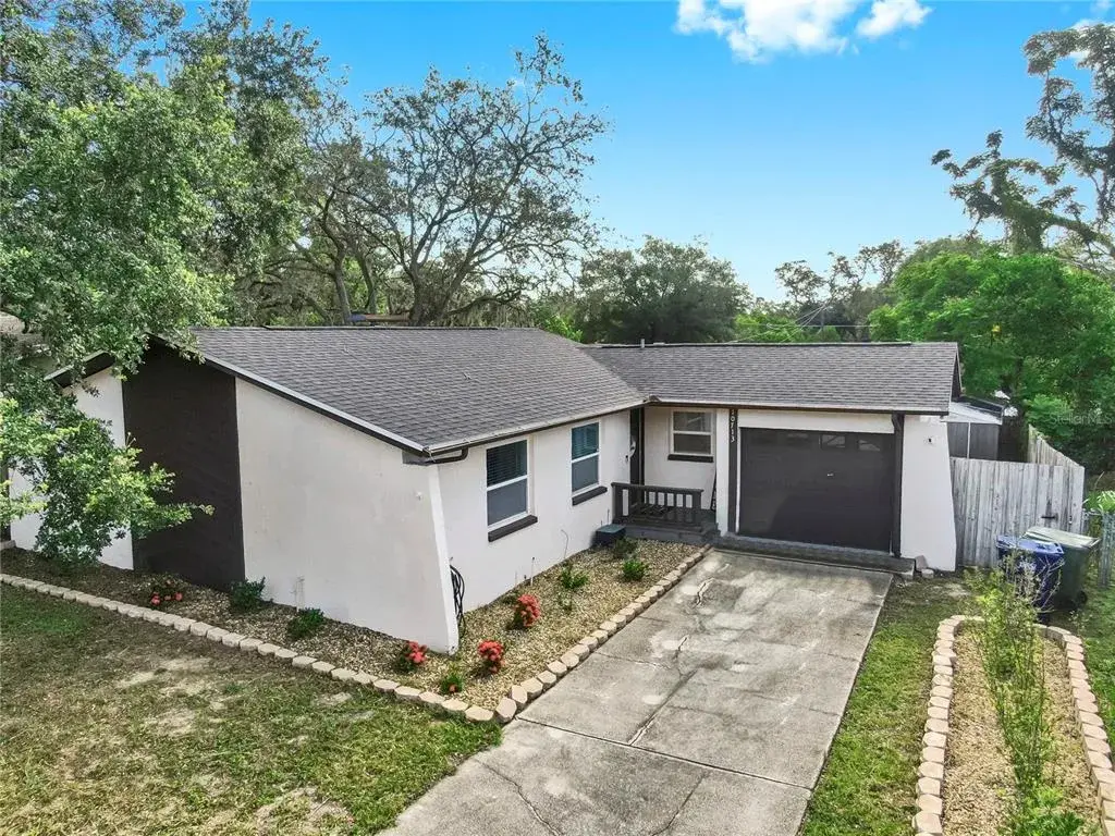10713 N Ojus Drive, Tampa, FL, 33617