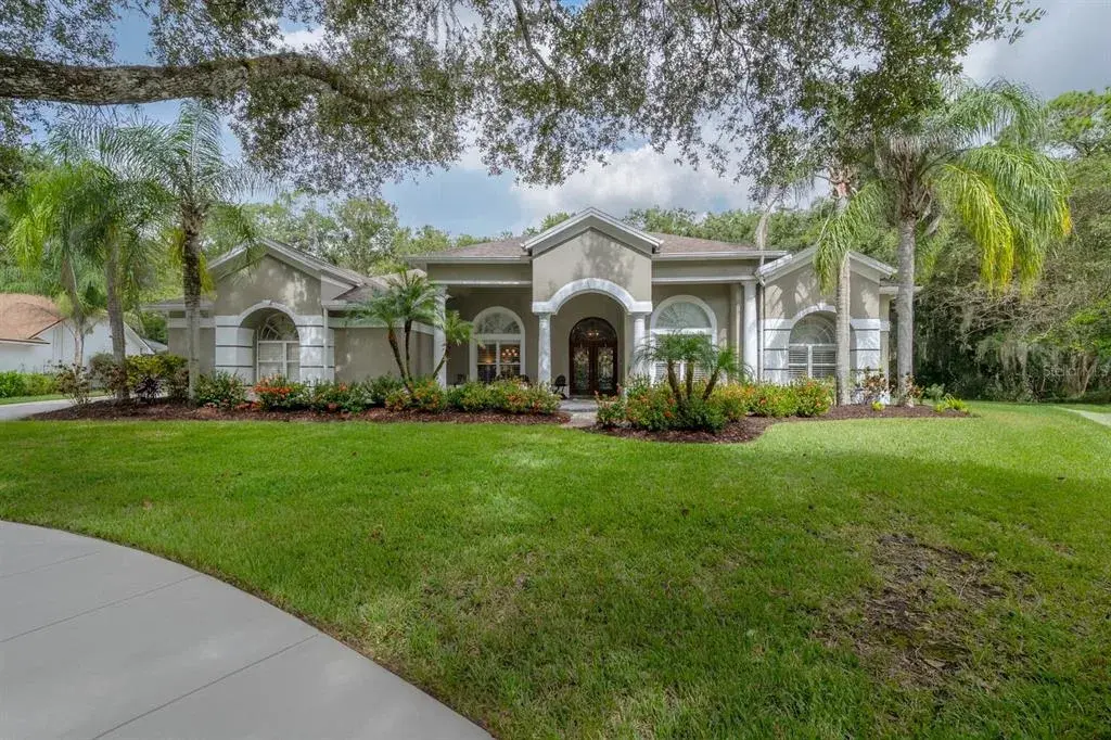 15801 Dawson Ridge Drive, Tampa, FL, 33647