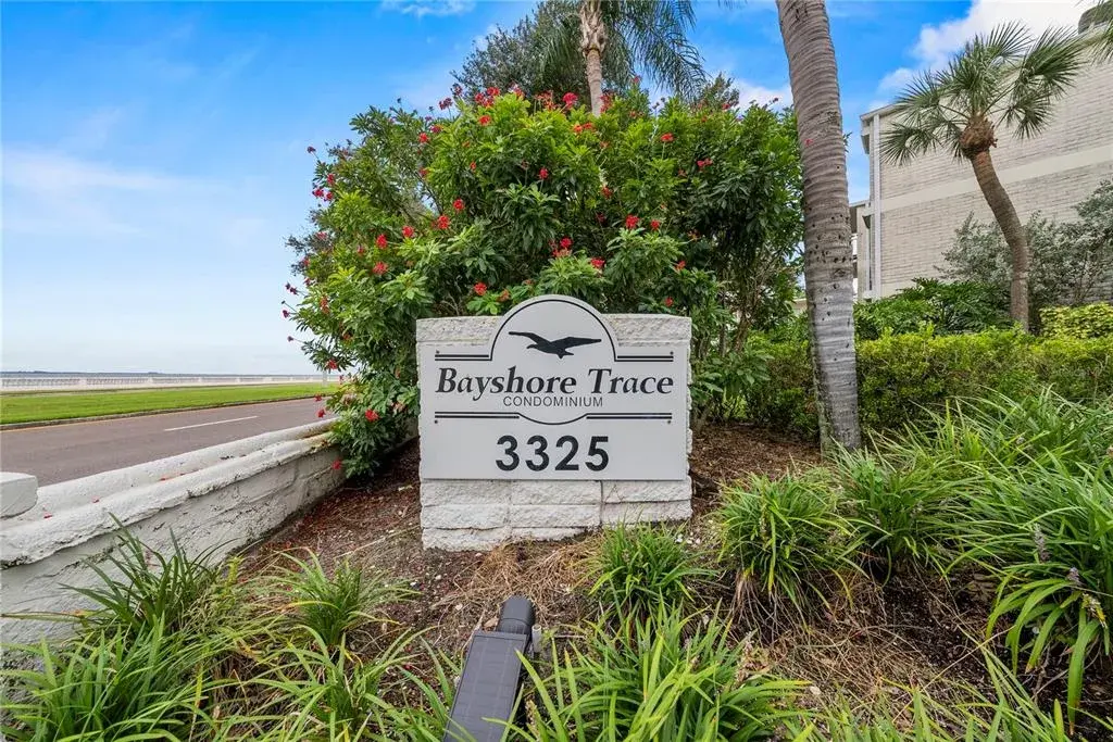 3325 Bayshore Boulevard Unit C11, Tampa, FL, 33629