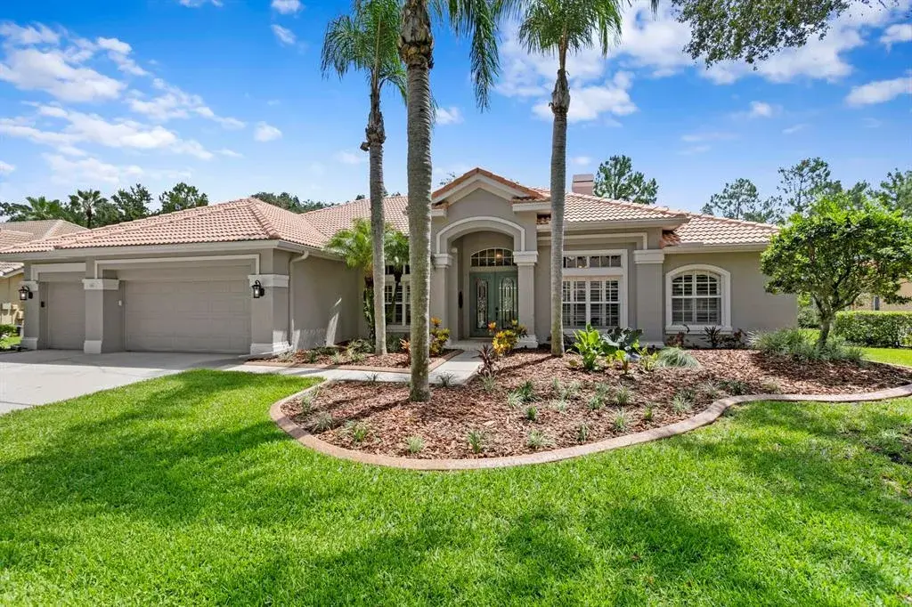 17818 Arbor Greene Drive, Tampa, FL, 33647