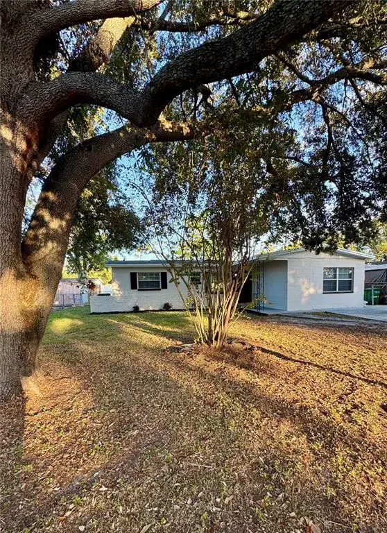 10623 N 25th Street, Tampa, FL, 33612
