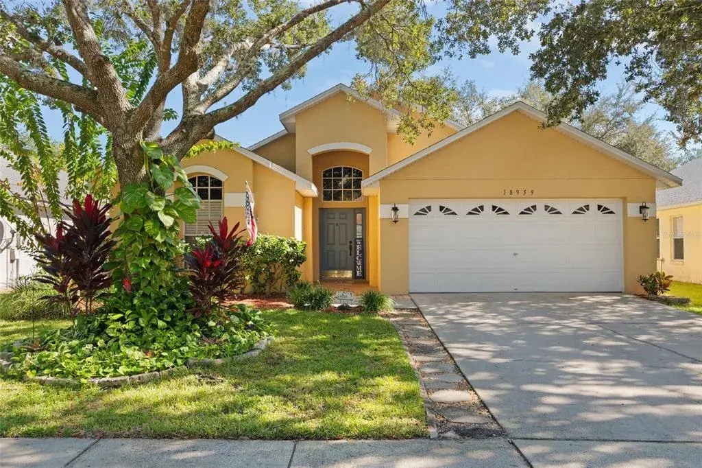 18959 Wood Sage Drive, Tampa, FL, 33647
